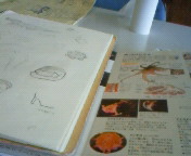 �N�����Ȃ�