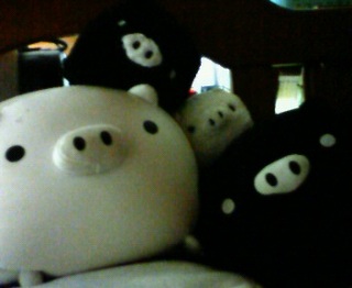 �͂��с[�΁[���ł��Ƃ��݁[