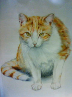 �ʂ����炷�Ƃ�����