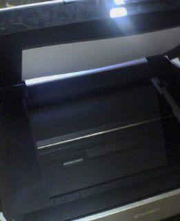 �X�L���i�l