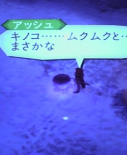 �Ă��I�A�r�X���I85